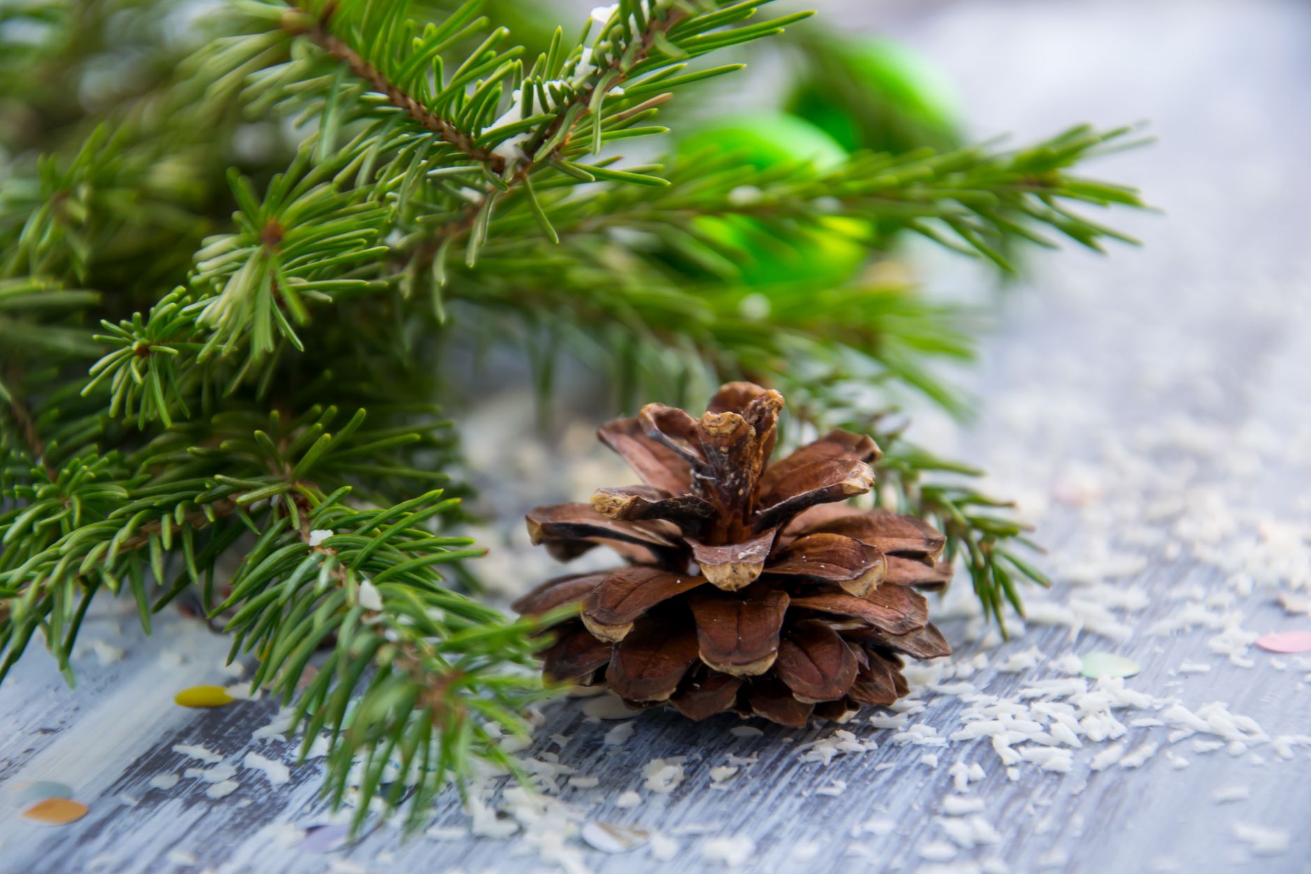 Bricolage de Noël pour enfants — enfants bricolage de Noël pommes de pin