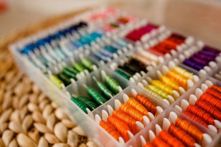 Broderie sur vêtement tutos DIY, — kit de broderie avec tissu et fils
