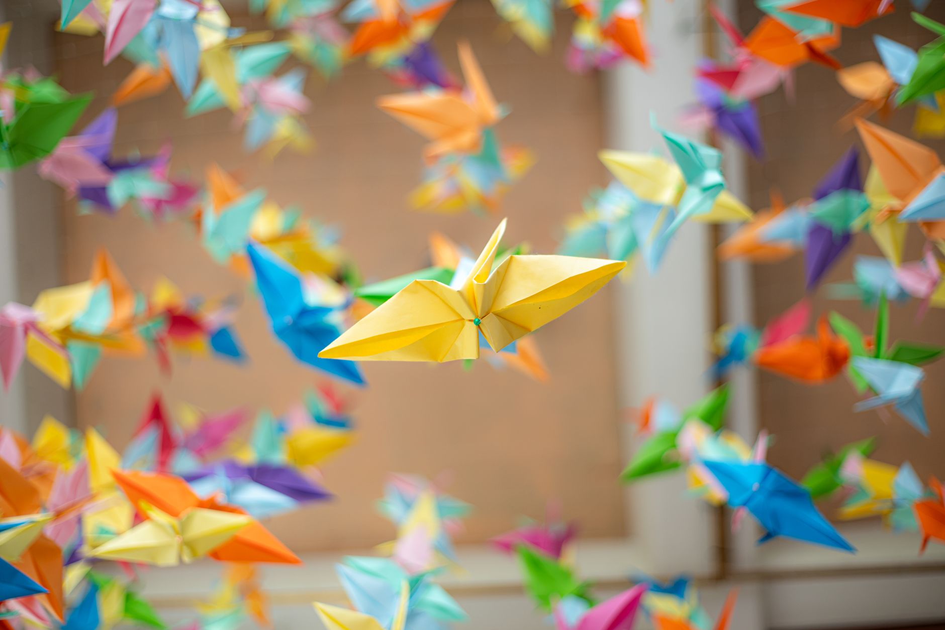 Tuto origami oiseau grue, colombe, — oiseaux en origami colorés en papier